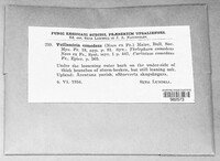 Image Associated With the Occurence